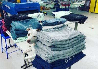 New Creation Designs shop dog in the middle of stacks of custom printed t-shirts.